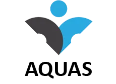 Naas AFC club sponsor logo