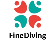 Naas AFC club sponsor logo