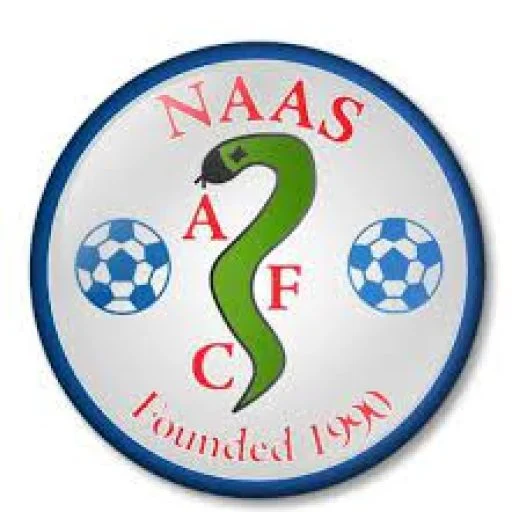 Naas AFC Coach Naas AFC Coach
