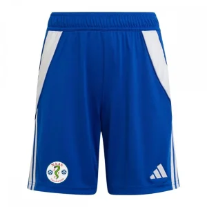 Kids Naas AFC Tiro 24 Shorts