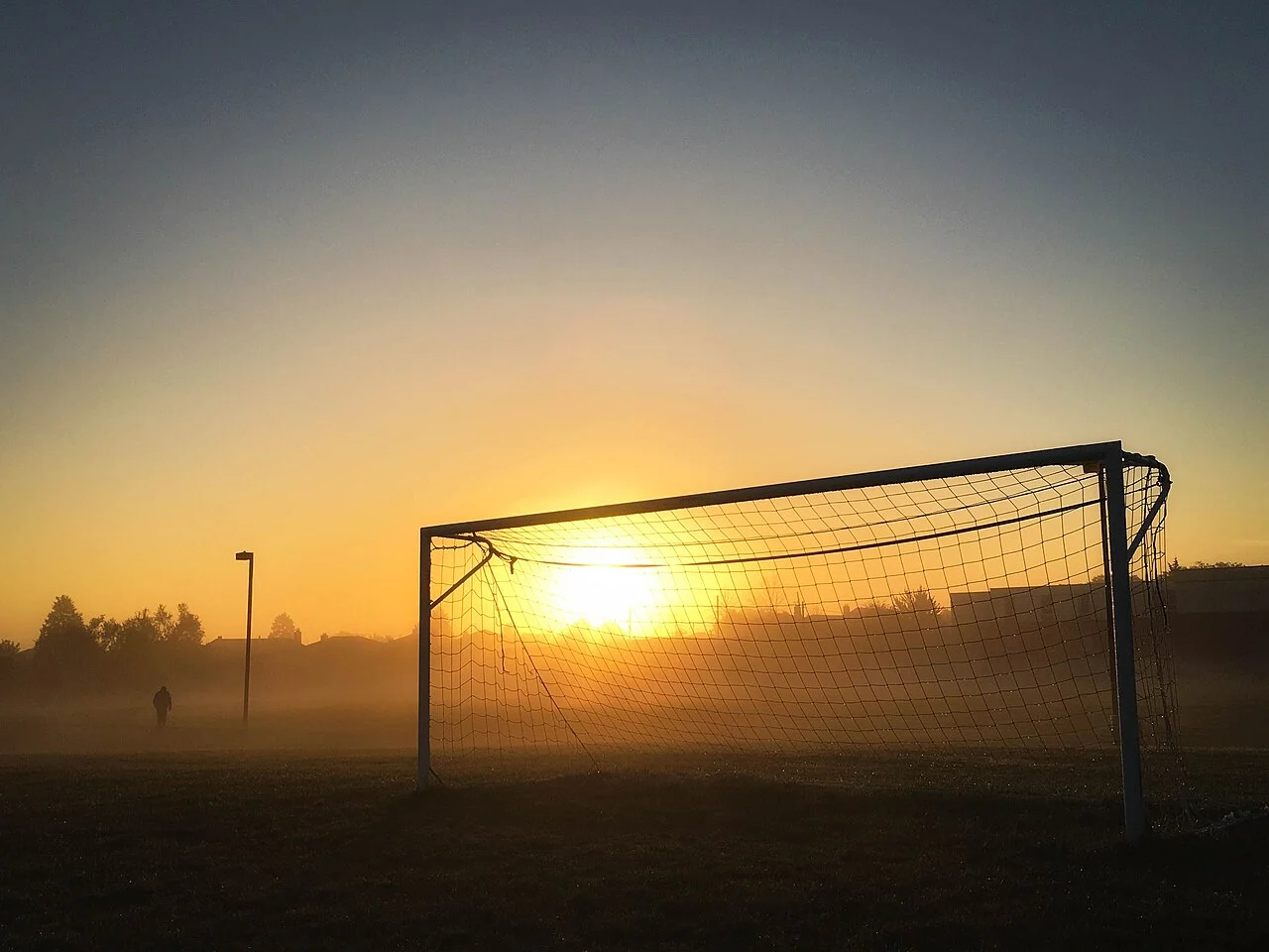 Empty goal net
